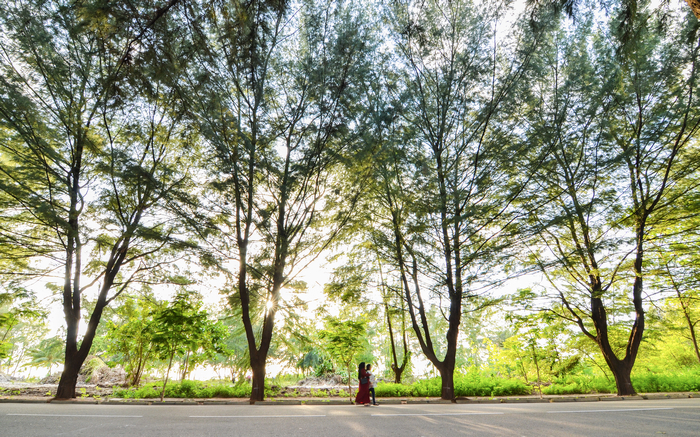 胡鲁马累岛的林荫大道—杜才良.jpg