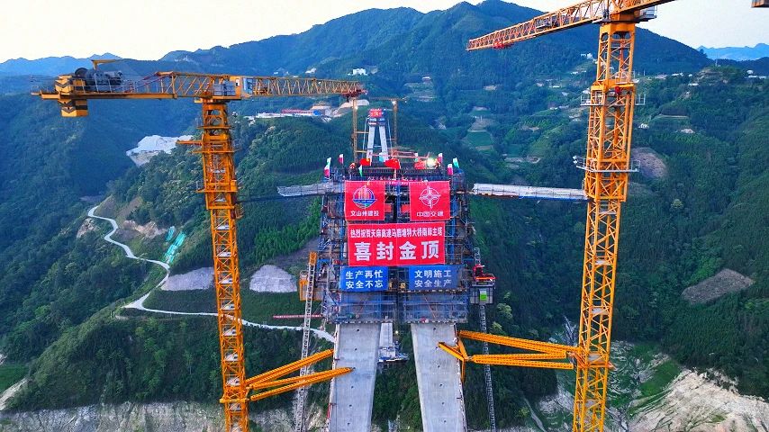 微信图片_20250611092920