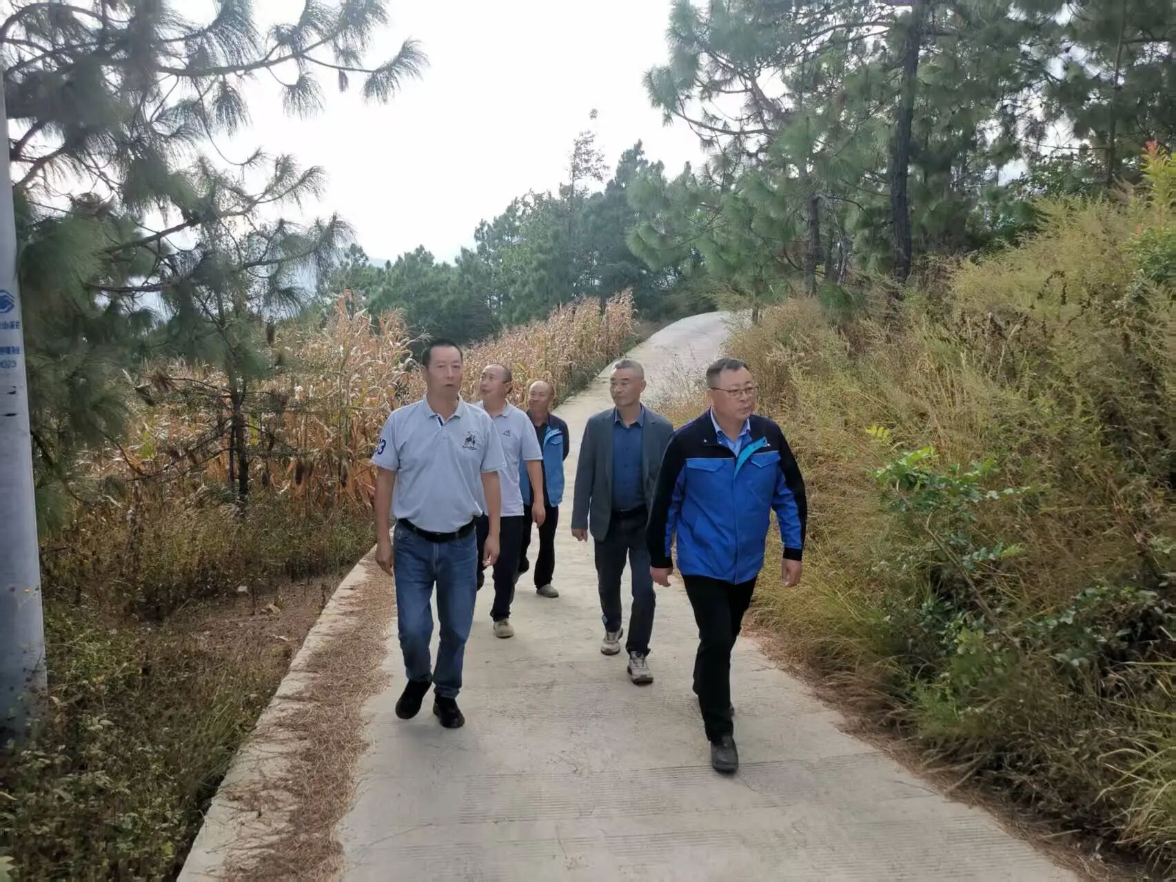 微信图片_2025-11-03_092221_897