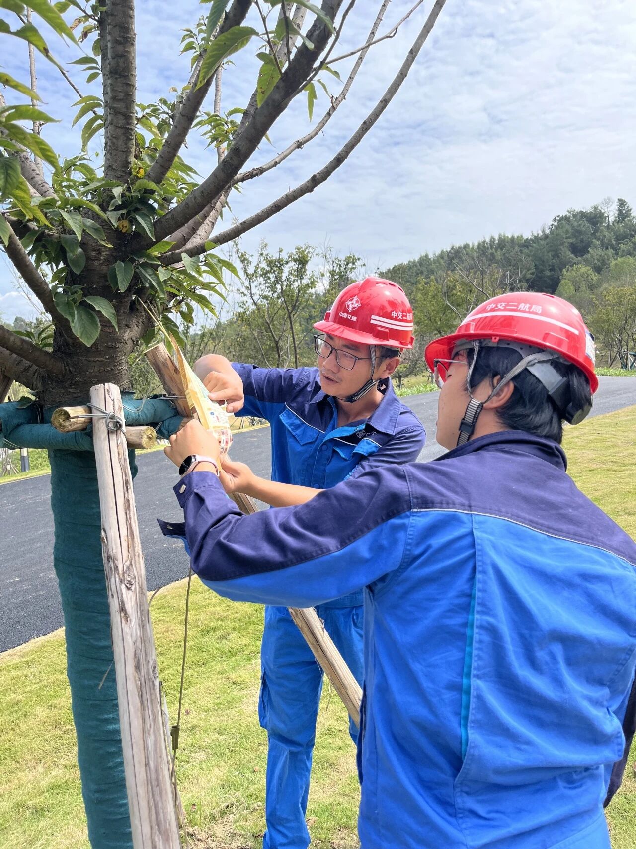 微信图片_2025-12-01_141440_648