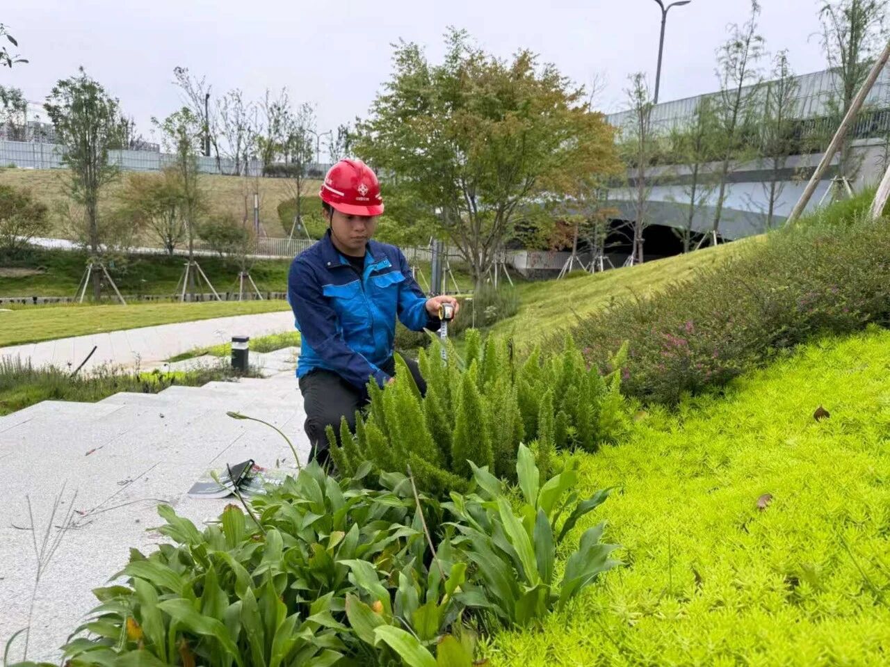 微信图片_2025-12-01_141446_288