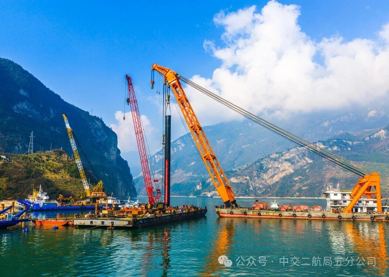 微信图片_2026-02-02_085723_948